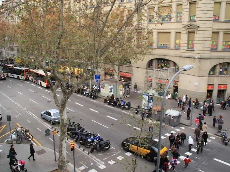 Paraiso Hostel Barcelona